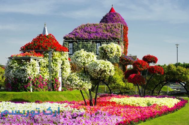 از آب رفتن فضای سبز شهر گل و بلبل تا بزرگترین باغ گل جهان در شهر گرمسیری دبی